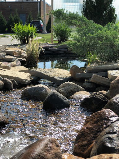 A serene landscape featuring a small pond surrounded by rocks and lush greenery.