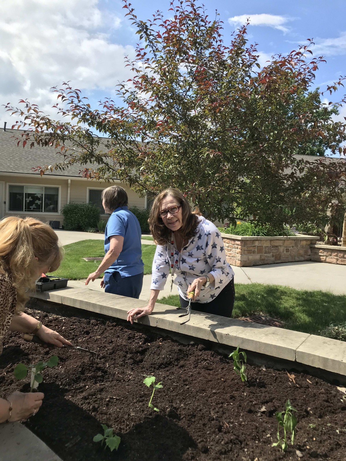 People participating in a community gardening activity.