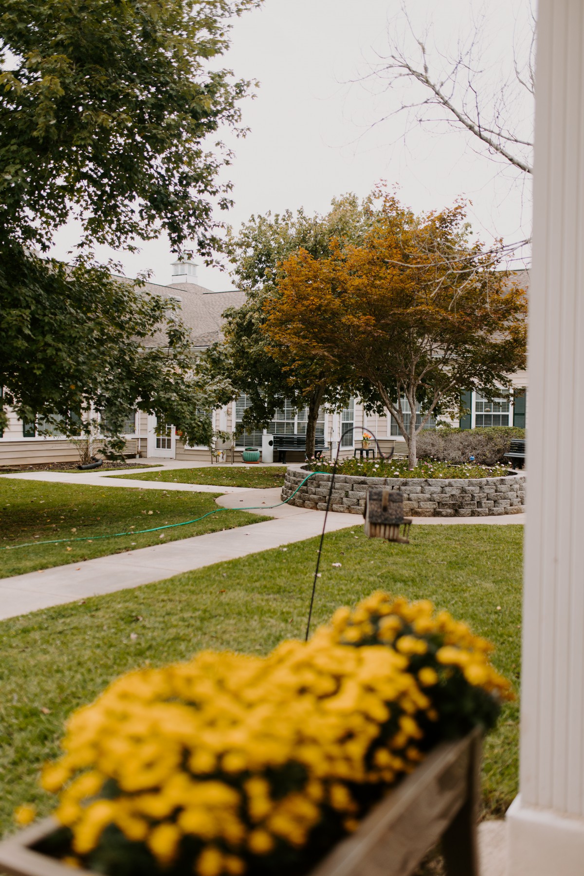 A serene garden setting with pathways, trees in autumn colors, and blooming flowers.