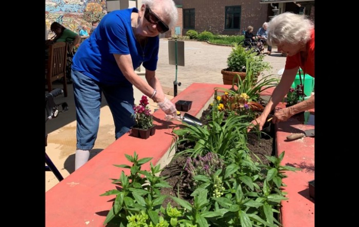 Two people working together in a community garden.