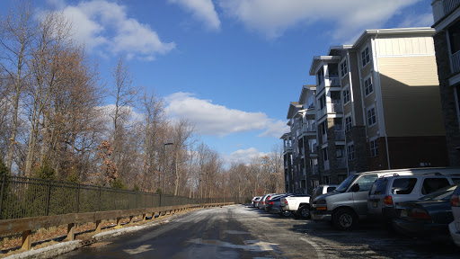 A peaceful urban street lined with apartments and parked cars, under a clear blue sky with scattered clouds.