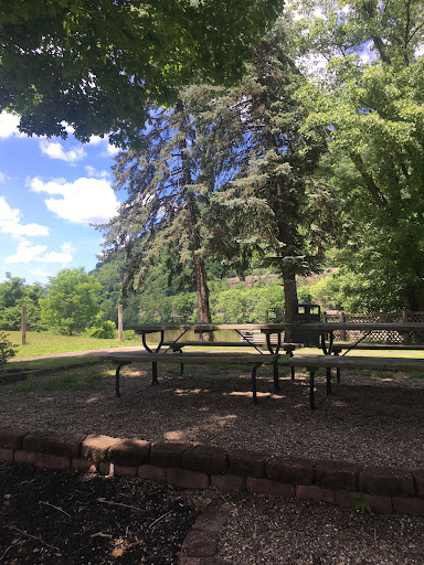 A serene outdoor park scene featuring benches under a lush tree canopy.