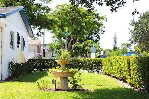 A serene garden featuring a decorative fountain surrounded by lush greenery.