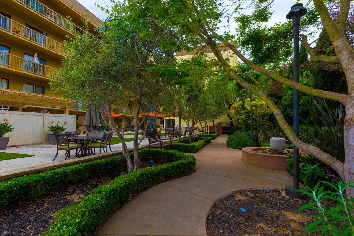 A serene garden pathway surrounded by lush greenery and outdoor seating.
