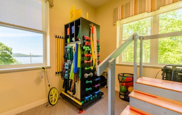 A well-organized home gym with various exercise equipment like dumbbells, resistance bands, and a step platform.