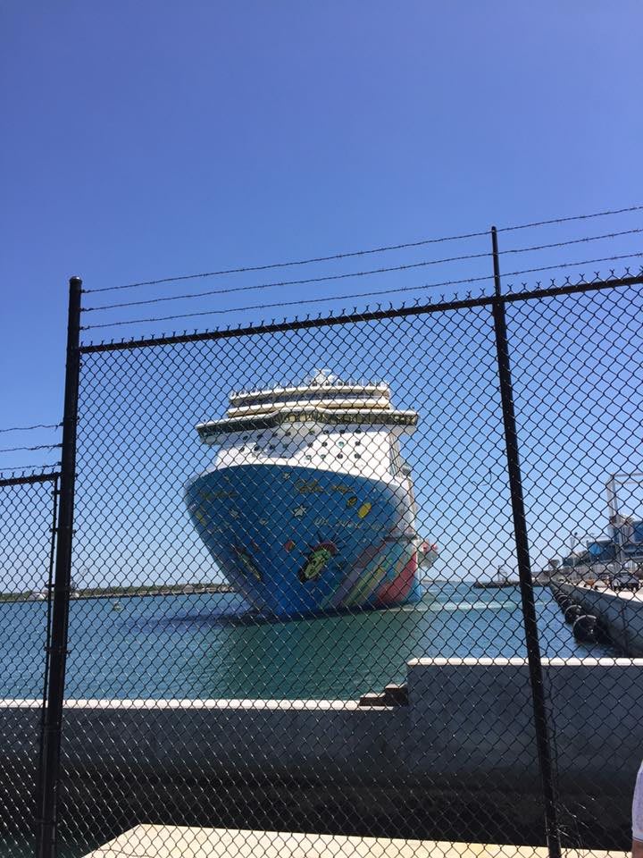 A cruise ship docked at the harbor, viewed through a chain-link fence on a clear day.