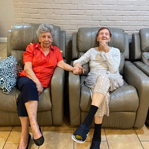 Two elderly women enjoying a moment of friendship, seated comfortably in leather chairs.