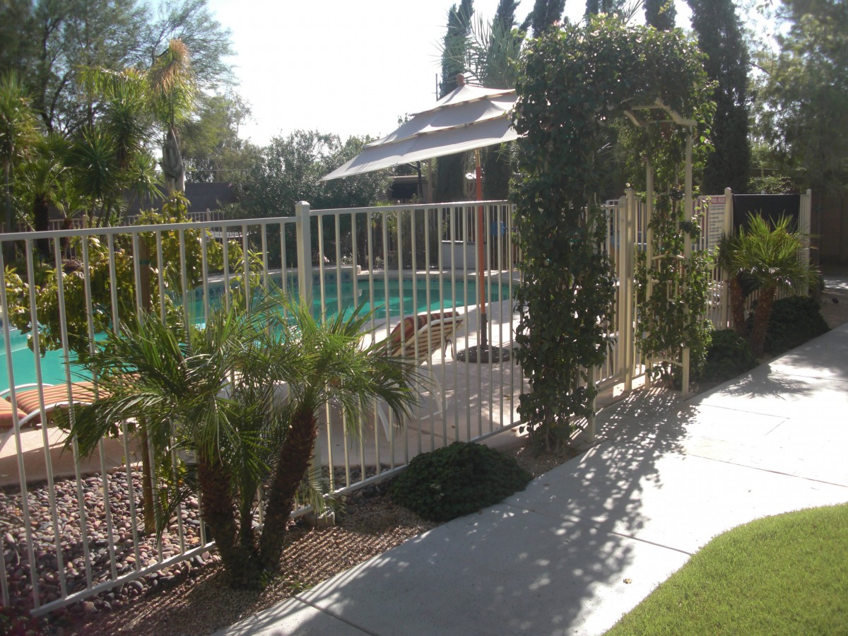 A sunny outdoor scene featuring a fenced pool area surrounded by palm trees and a paved pathway.