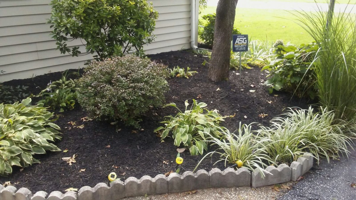 A well-maintained garden bed with various plants and dark mulch.