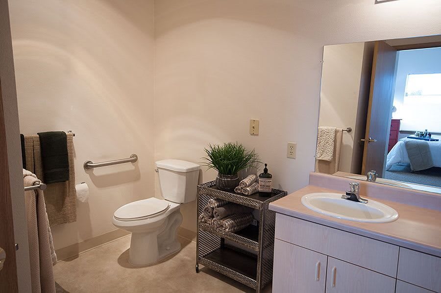 A modern bathroom with a toilet, sink, mirror, and decorative elements.