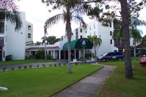 A hotel entrance with a green canopy and palm trees lining the driveway.