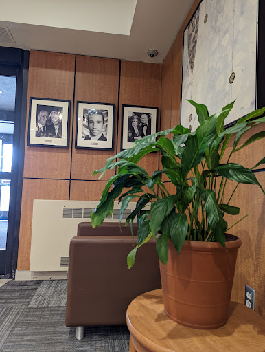 A welcoming lobby area featuring a vibrant plant and framed photographs on the wall.