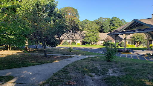 A serene view of a walking path winding through a residential area with lush trees and clear blue skies.