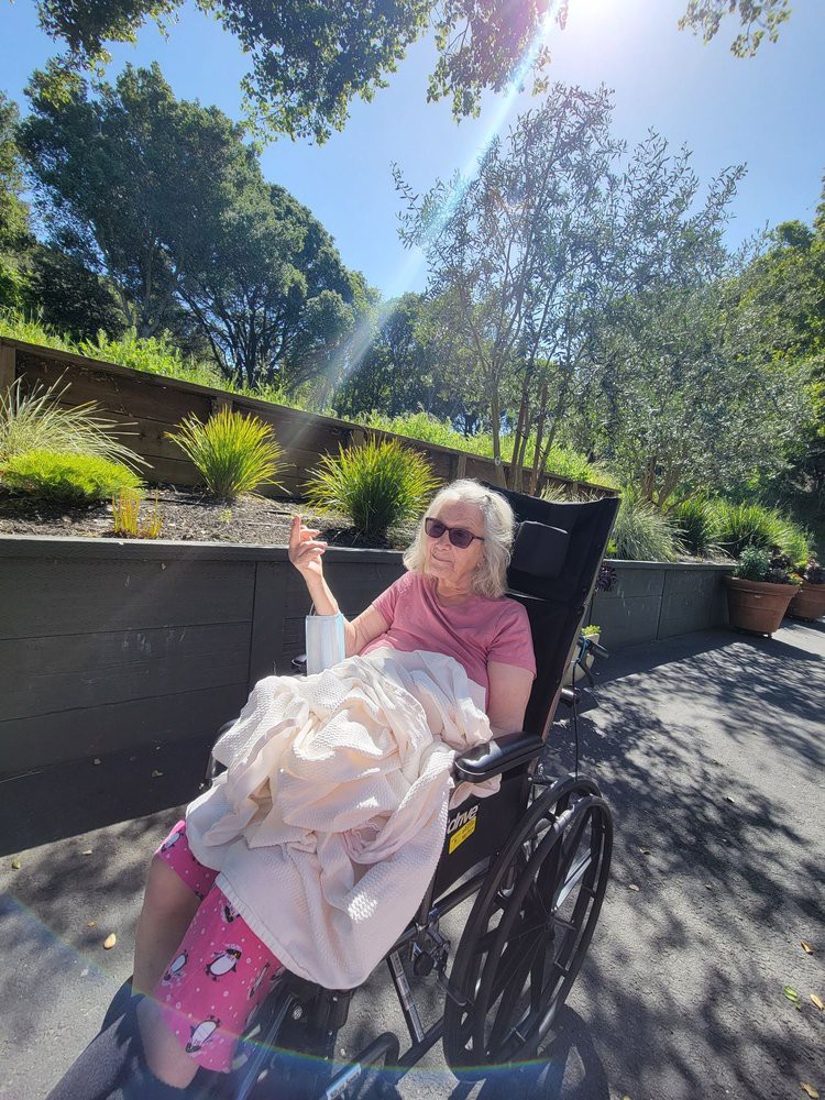 An elderly person enjoying a sunny day in the garden while sitting in a wheelchair.