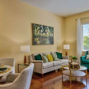 A cozy living room with elegant decor, featuring a comfortable sofa, vibrant cushions, stylish artwork, and ample natural light.