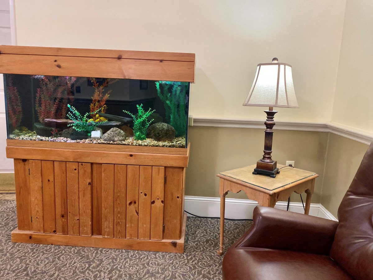 A cozy living room corner featuring an aquarium and a table lamp on a wooden side table.