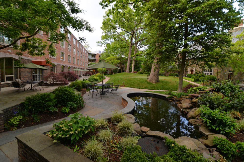 A peaceful garden with a pond and patio furniture surrounded by lush greenery and trees.
