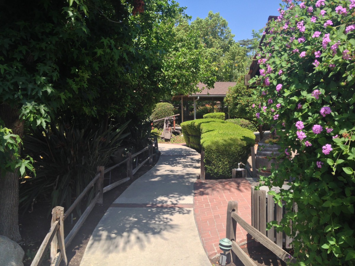 A scenic garden pathway lined with trees and bushes on a sunny day.