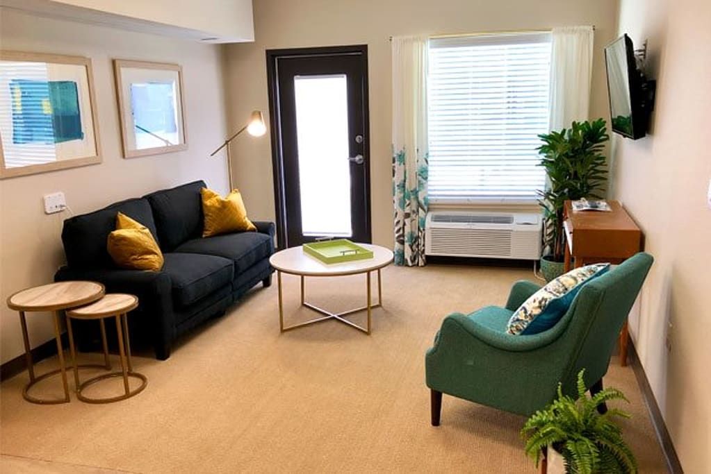 A modern living room featuring a dark sofa, green armchair, and coffee table, complemented by plants and stylish decor.