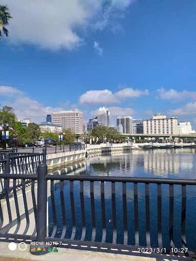 Magnolia Towers