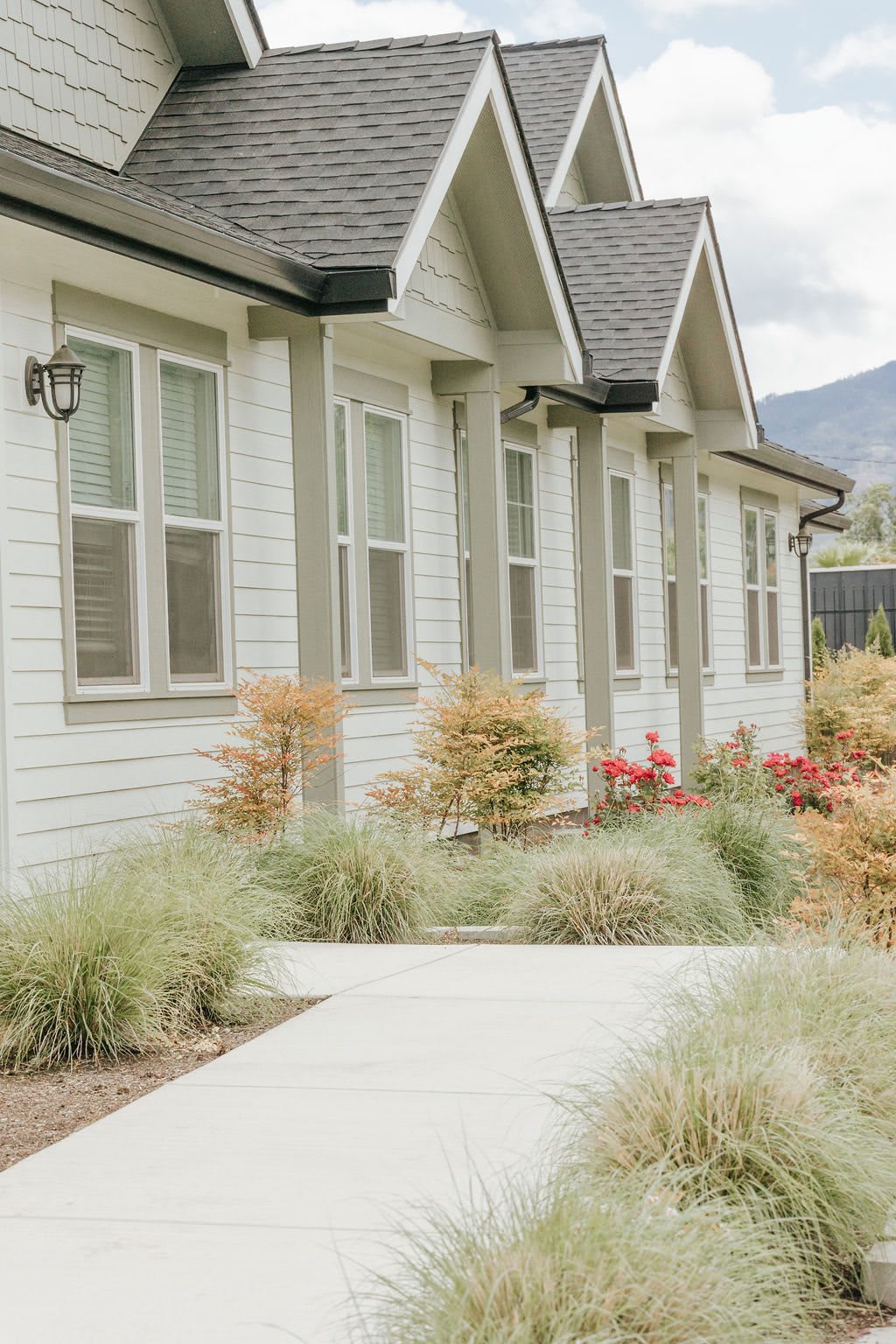 A modern house with a beautifully landscaped garden and pathway.