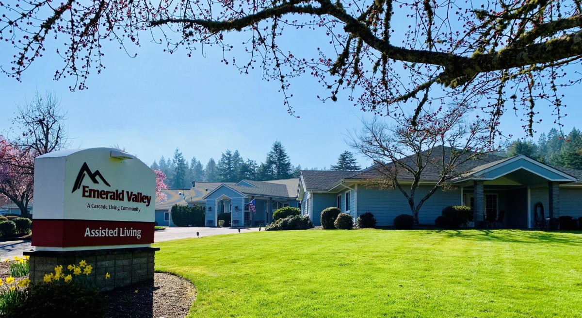 A sunny suburban neighborhood with well-kept lawns and houses.