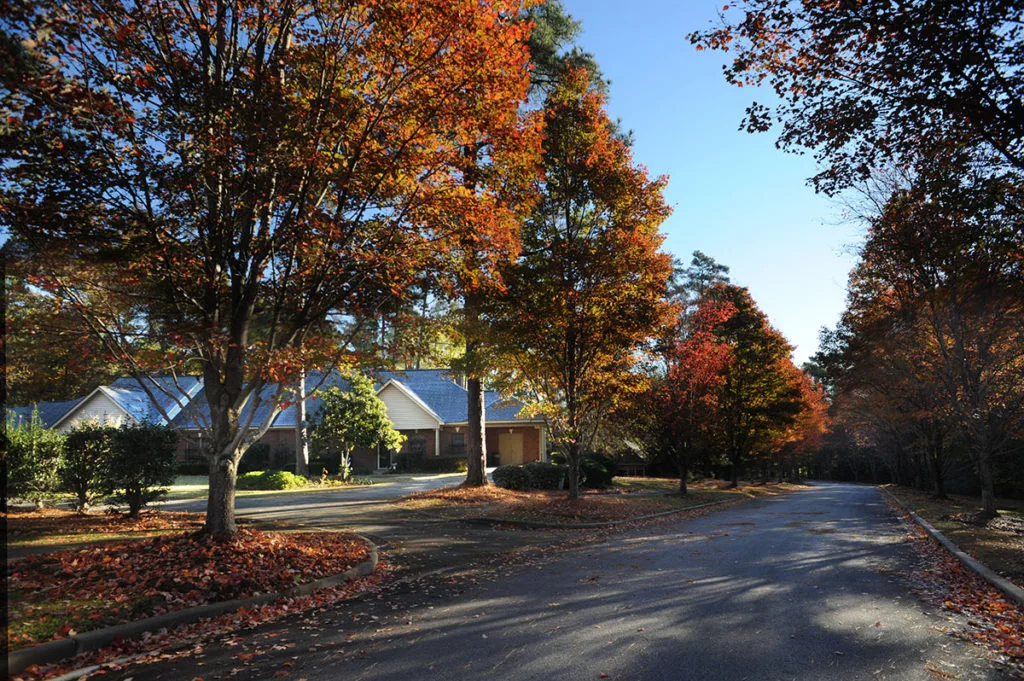 A quiet residential street lined with vibrant autumn trees and a house basking in sunlight.