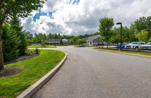 A peaceful driveway lined with trees under a cloudy sky, leading to buildings in the distance.