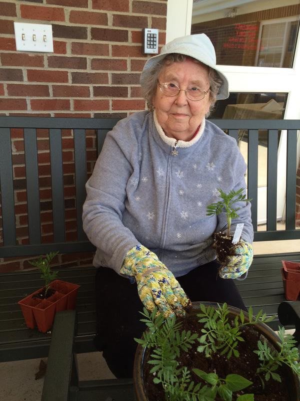 An elderly woman wearing gardening gloves is sitting on a bench, planting flowers.