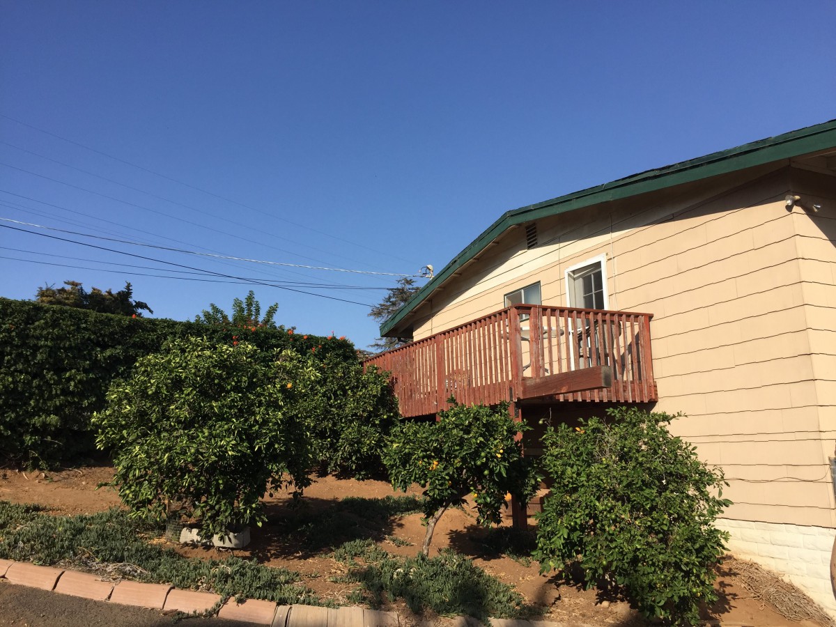 A house with a wooden deck surrounded by lush greenery under a clear blue sky.