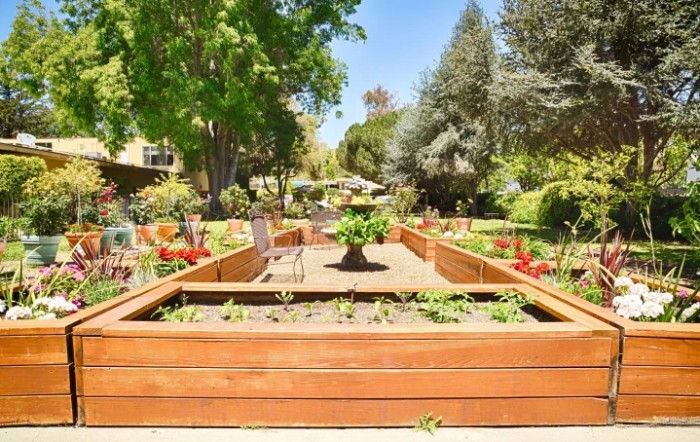 A sunny garden featuring raised wooden beds filled with plants, surrounded by lush trees and greenery.