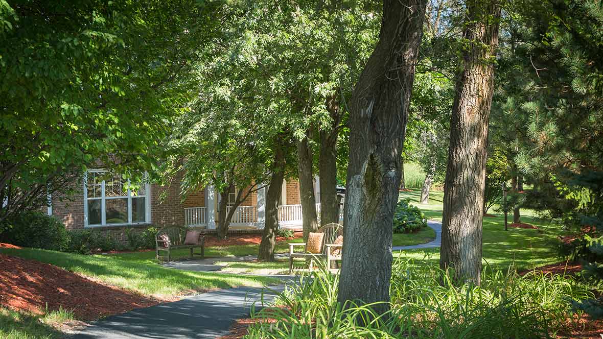 A serene outdoor setting with trees and a path leading to a building.