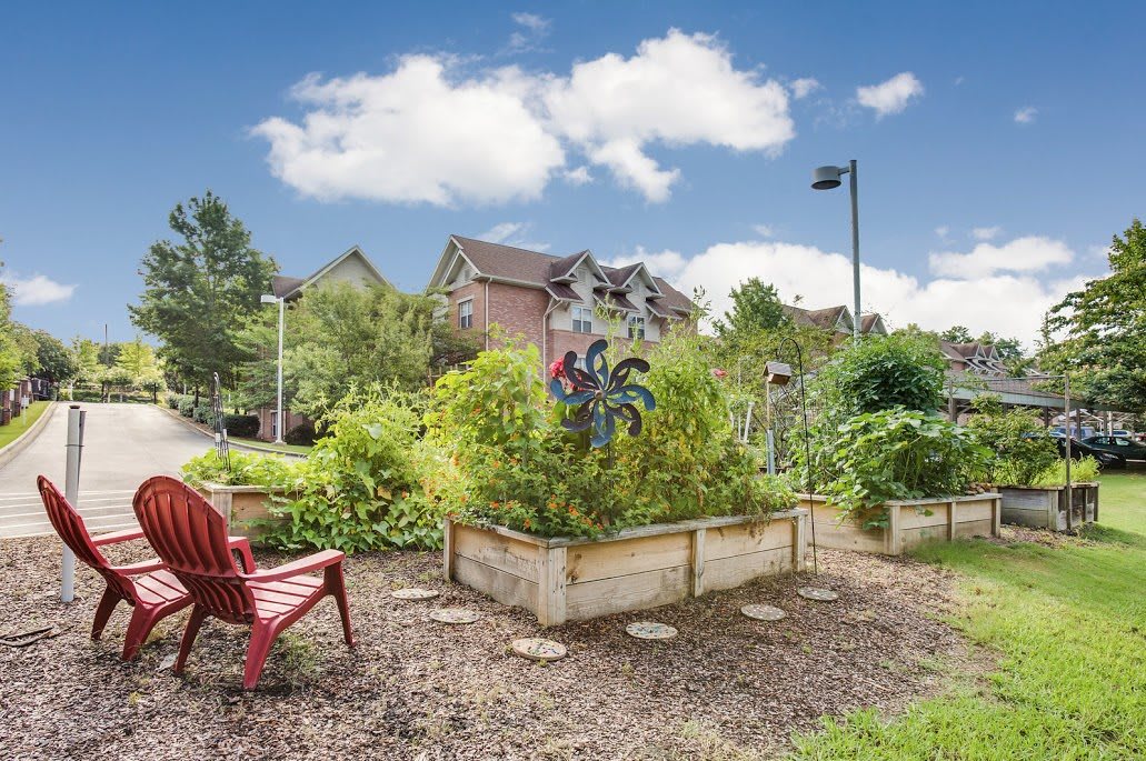 A vibrant community garden with raised beds full of lush plants, set in an urban neighborhood under a clear blue sky.