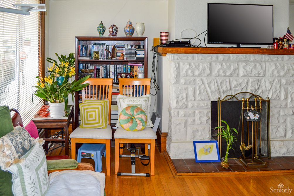 A cozy living room with a bookshelf, chairs, plants, and a fireplace.