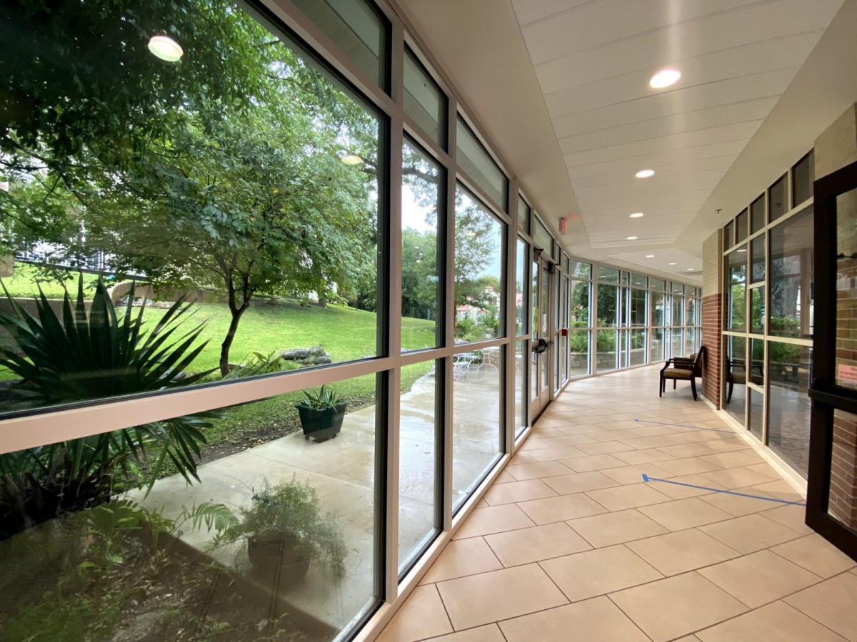 A modern hallway with large glass windows offering a serene view of the lush green outdoors.