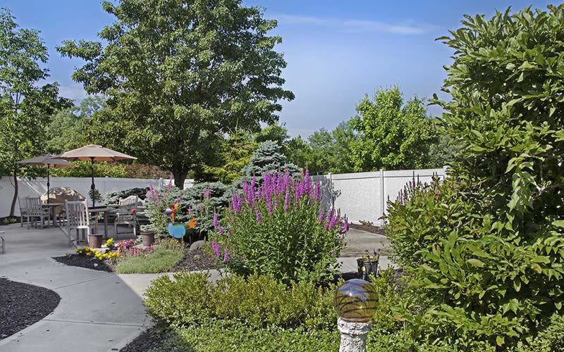 A vibrant garden with lush greenery and colorful flowers on a sunny day.