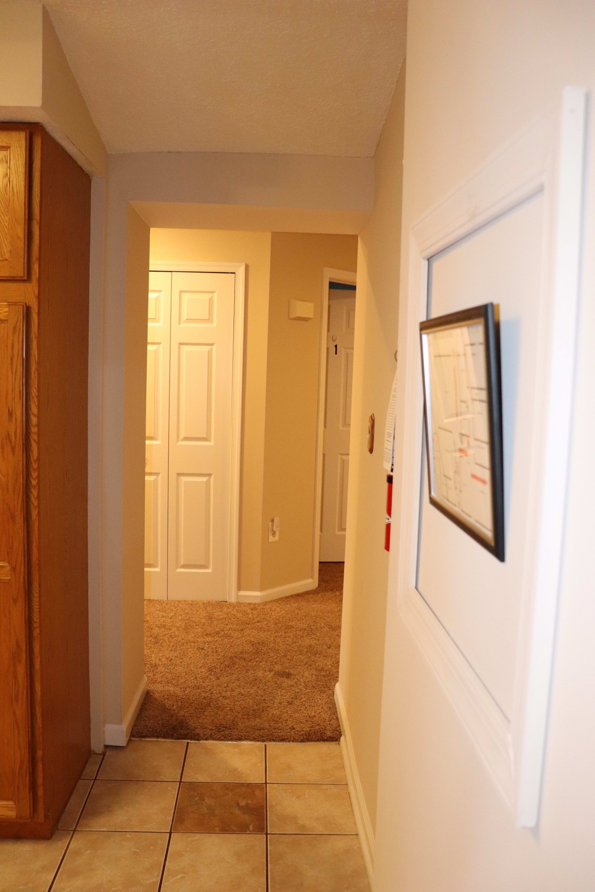 A well-lit hallway with carpeted flooring and several doors, featuring a framed picture on the wall.