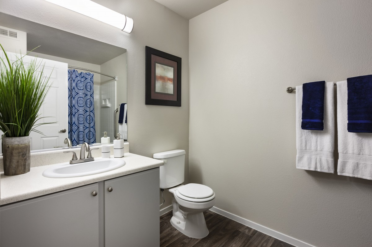 A modern bathroom with a sink, toilet, and decorative elements.
