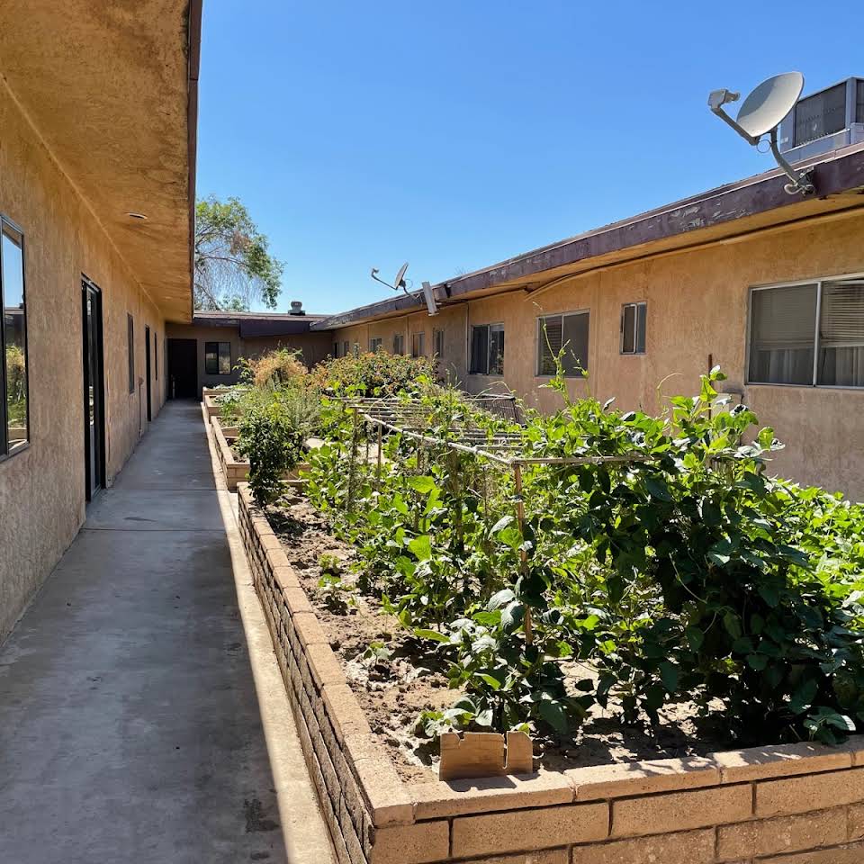 A sunny outdoor view of an apartment complex with a garden bed filled with various vegetables and plants along a concrete pathway.