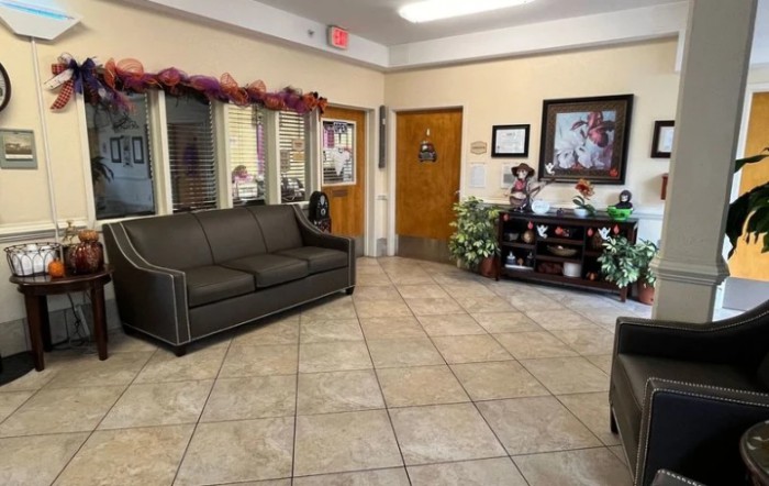 A welcoming waiting room with comfortable seating and decorative elements.