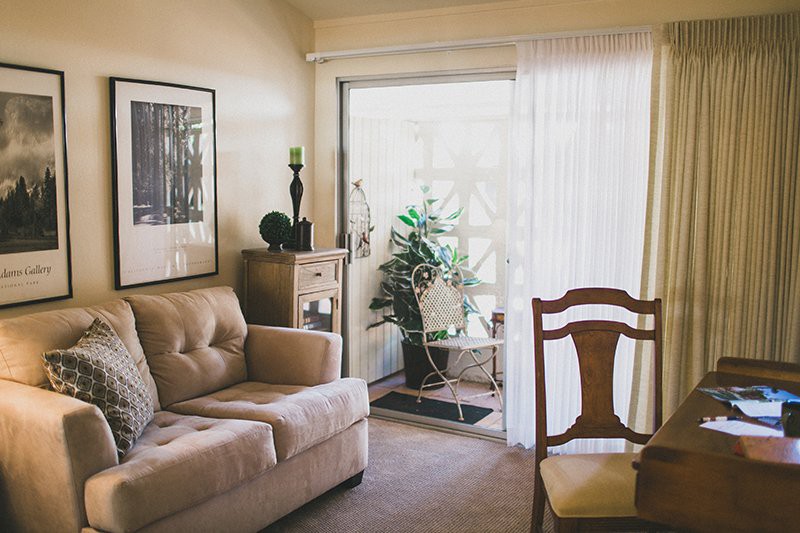 A cozy living room with a sofa, chair, and indoor plants by a glass doorway.