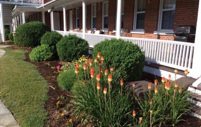 A neatly landscaped garden with flowering plants and well-trimmed bushes in front of a building with a porch.