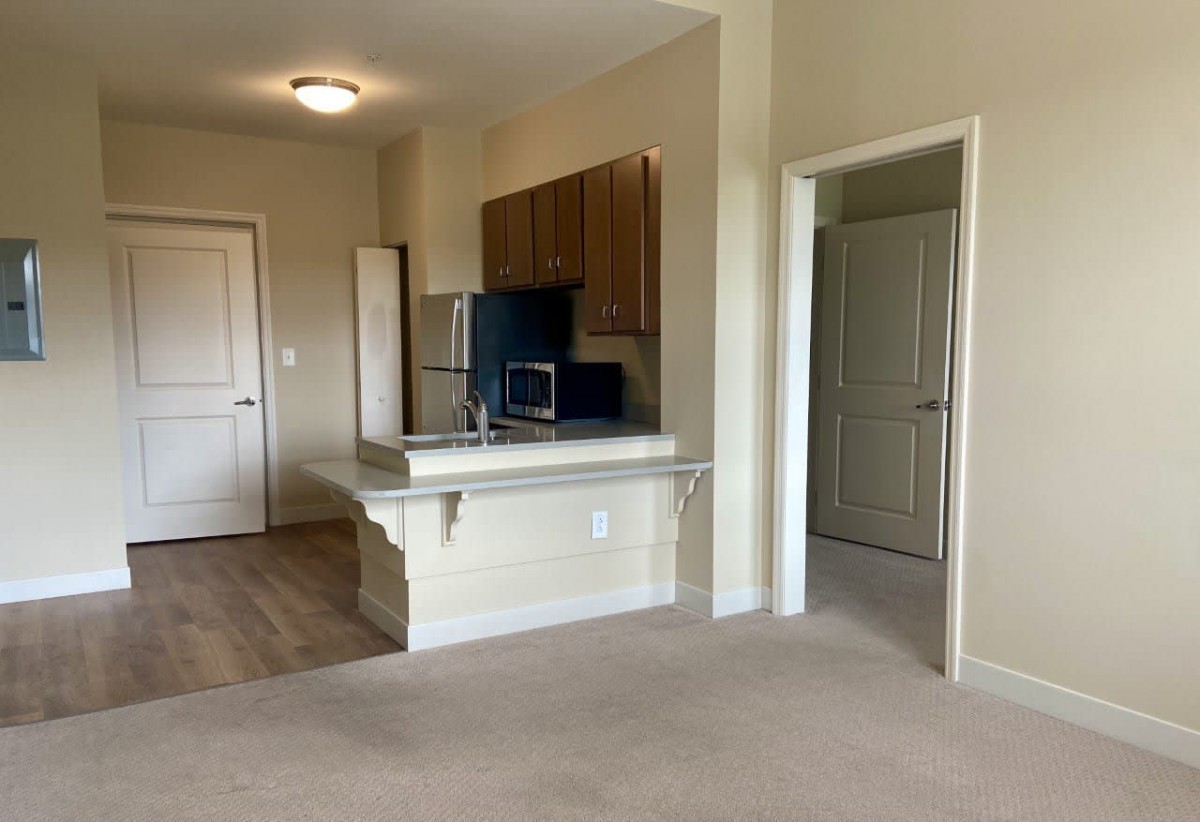 An apartment interior featuring a kitchen with wooden cabinets and a countertop, opening to a carpeted living area.