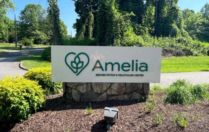 Wellsprings At Amelia