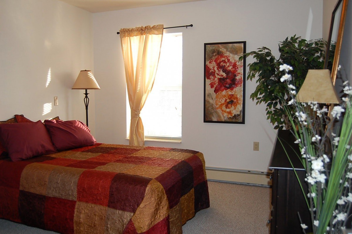 A cozy bedroom with a colorful bedspread, a window with sheer curtains, and decorative elements such as a lamp, painting, and houseplant.