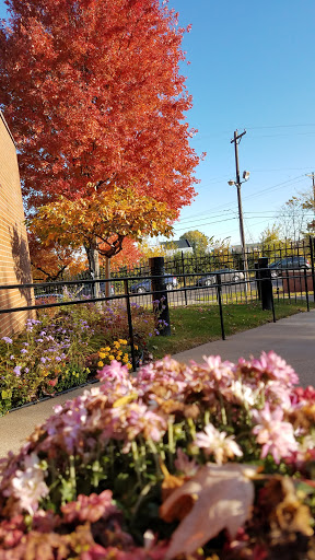 A beautiful autumn scene featuring vibrant fall foliage and blooming flowers.