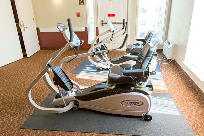A row of elliptical machines in a well-lit gym setting.