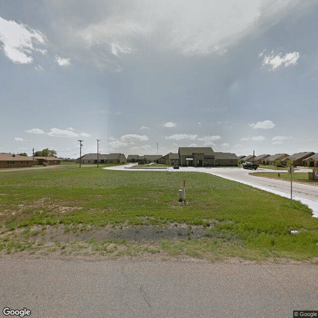 Silver Leaf Panhandle