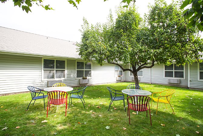 A peaceful outdoor garden with colorful chairs and tables under a tree on a sunny day.