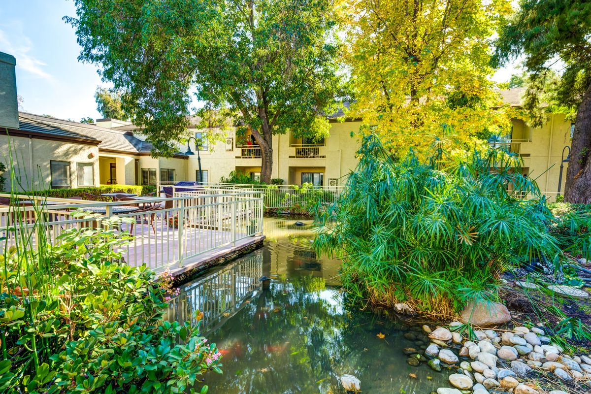 A serene outdoor scene with a small bridge over a pond, surrounded by lush greenery and trees, adjacent to a building.